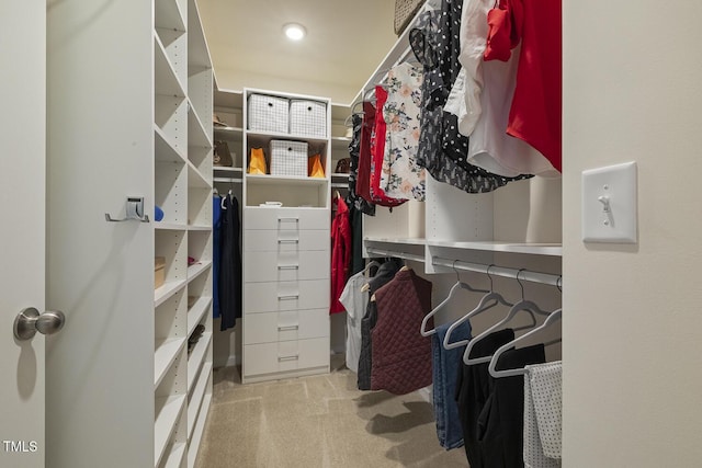 spacious closet with carpet flooring