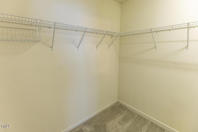 spacious closet with carpet flooring