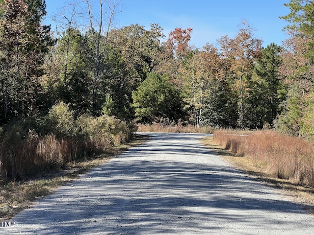 Listing photo 3 for 205 Hazelton Farms Ln, Cameron NC 28326