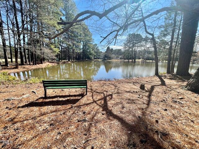 view of water feature