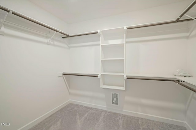 walk in closet featuring light colored carpet