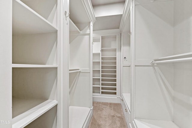 spacious closet with light colored carpet