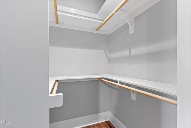 spacious closet featuring wood finished floors