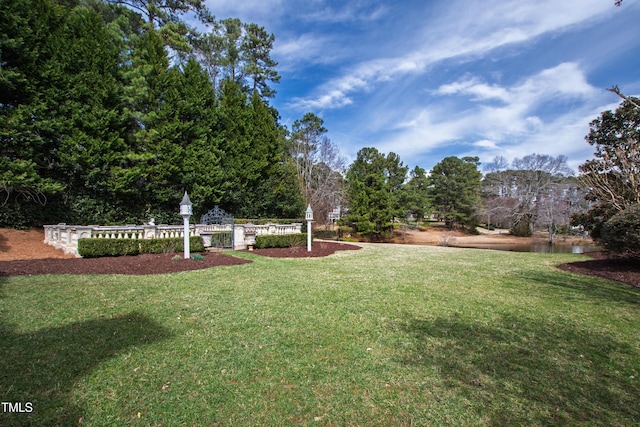 view of yard