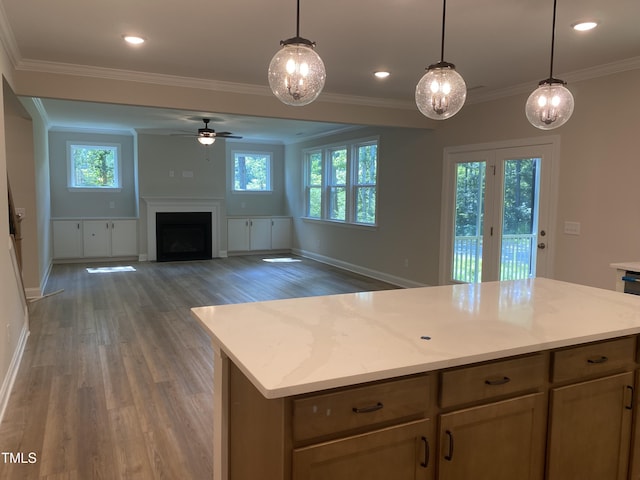 5036 Trotter Dr, Raleigh, NC 27603 - kitchen with a ceiling fan, wood finished floors, plenty of natural light, a fireplace, and ornamental molding