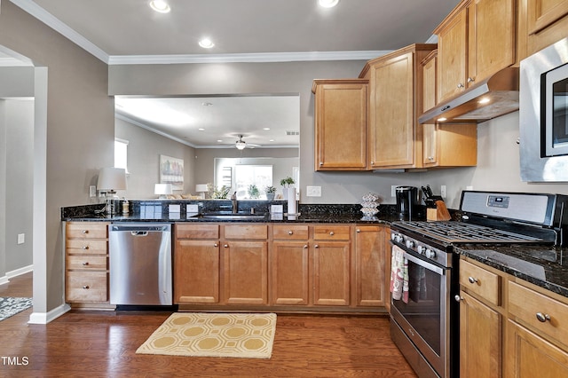 kitchen featuring under cabinet range hood, dark wood-type flooring, a sink, appliances with stainless steel finishes, and dark stone countertops