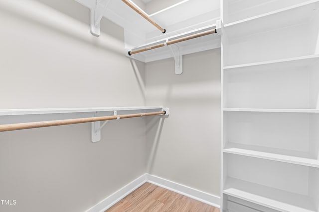 walk in closet featuring light wood-type flooring