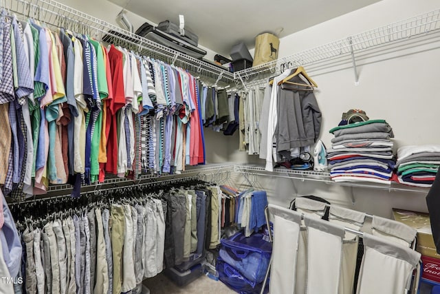 walk in closet featuring carpet flooring