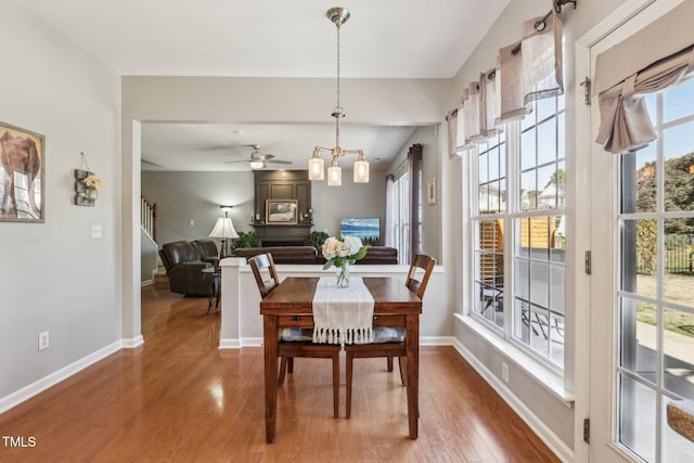 dining room with ceiling fan, wood finished floors, and baseboards