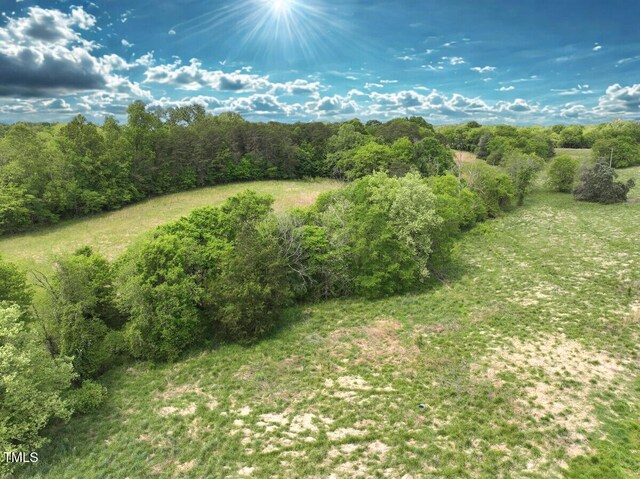 03 Bill Compton Rd, Blanch, NC 27212 - photo 14