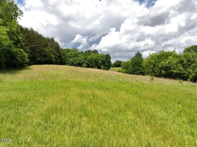 03 Bill Compton Rd, Blanch, NC 27212 - photo 15