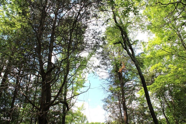 03 Bill Compton Rd, Blanch, NC 27212 - photo 17