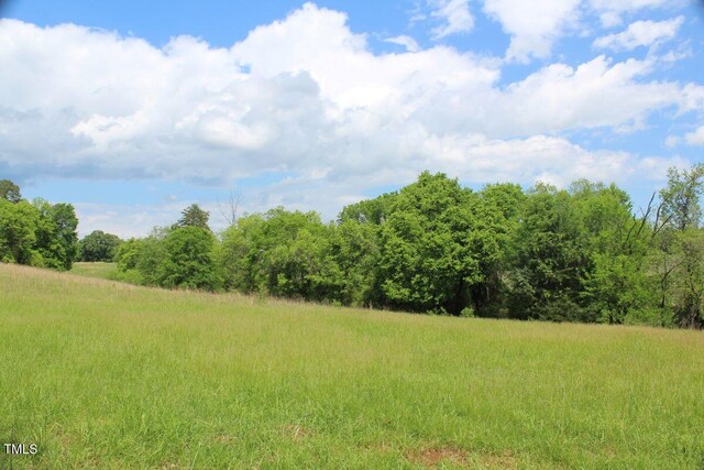 03 Bill Compton Rd, Blanch, NC 27212 - photo 18