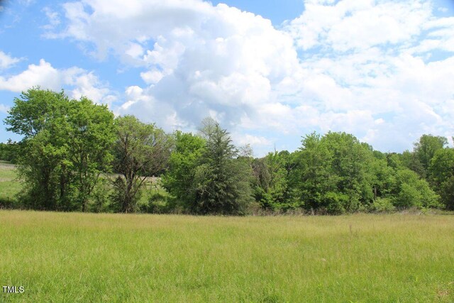 03 Bill Compton Rd, Blanch, NC 27212 - photo 20