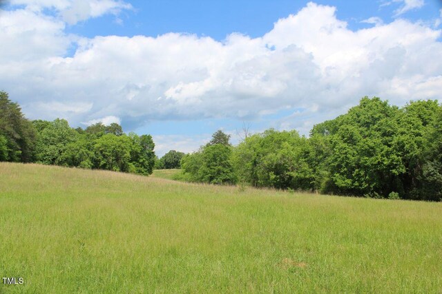 03 Bill Compton Rd, Blanch, NC 27212 - photo 21