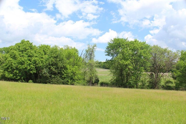 03 Bill Compton Rd, Blanch, NC 27212 - photo 22