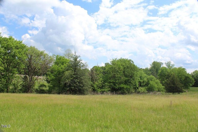 03 Bill Compton Rd, Blanch, NC 27212 - photo 23