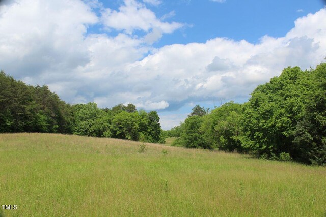 03 Bill Compton Rd, Blanch, NC 27212 - photo 24