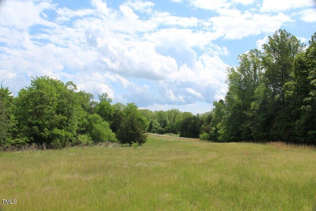 03 Bill Compton Rd, Blanch, NC 27212 - photo 25