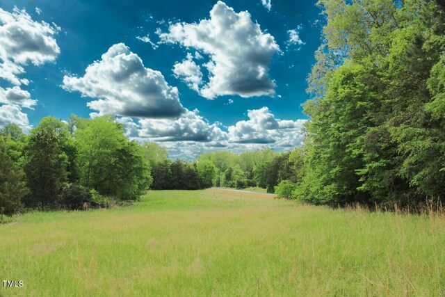 03 Bill Compton Rd, Blanch, NC 27212 - photo 26