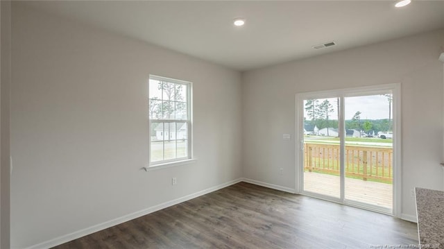 spare room featuring plenty of natural light and wood-type flooring