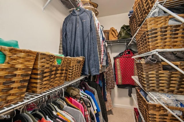 walk in closet featuring carpet flooring