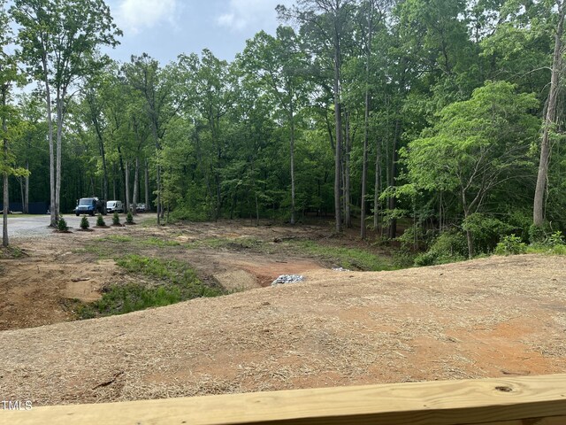 162 Kirkwall Ln, Selma, NC 27576 - view of yard with a forest view
