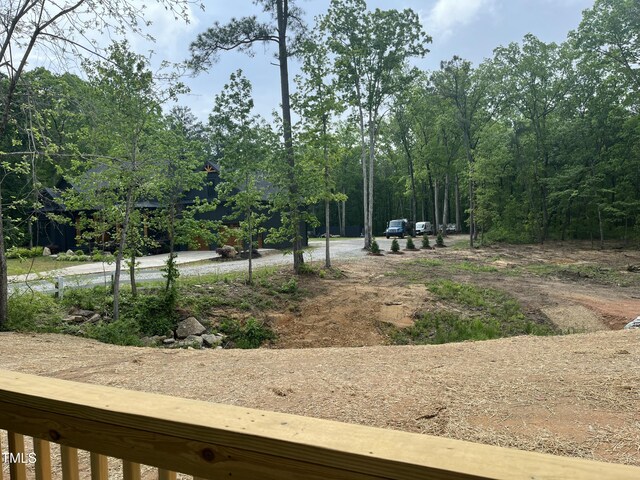 162 Kirkwall Ln, Selma, NC 27576 - view of yard