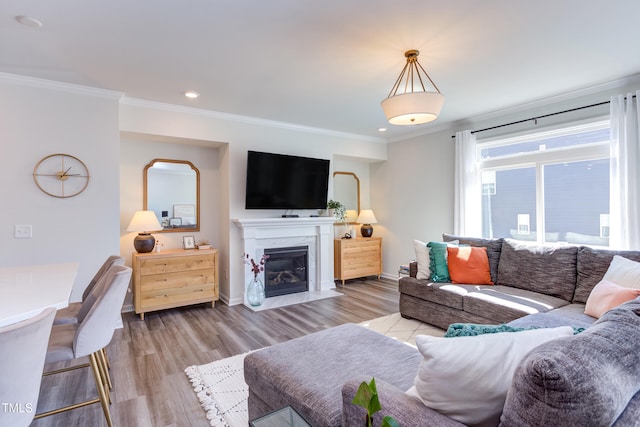 living area featuring light wood-style floors, crown molding, baseboards, and a premium fireplace