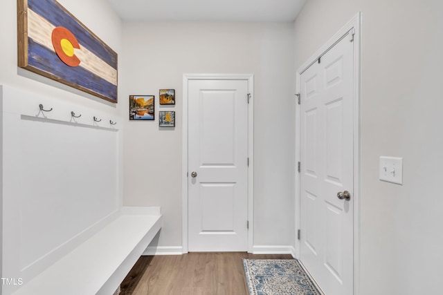 mudroom featuring baseboards and wood finished floors