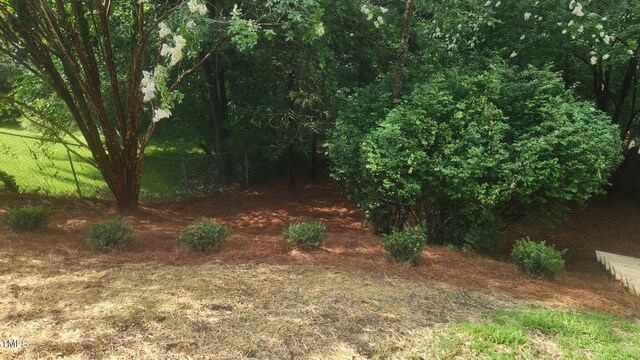 4319 White Cliff Ln, Durham, NC 27712 - photo 30