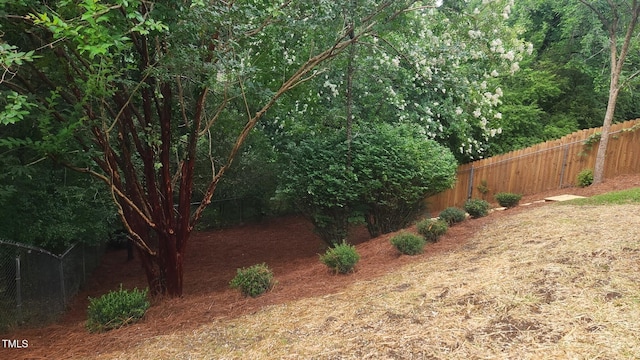 4319 White Cliff Ln, Durham, NC 27712 - photo 29