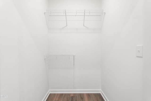 spacious closet featuring dark wood finished floors