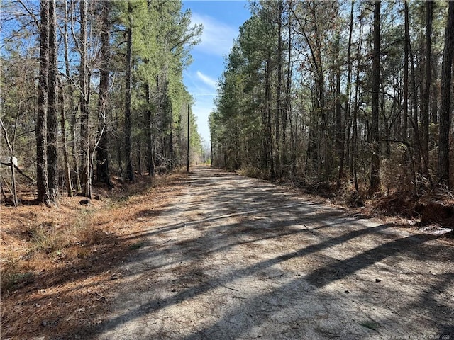 Lee Dunn Ln, Linden NC, 28334 land for sale