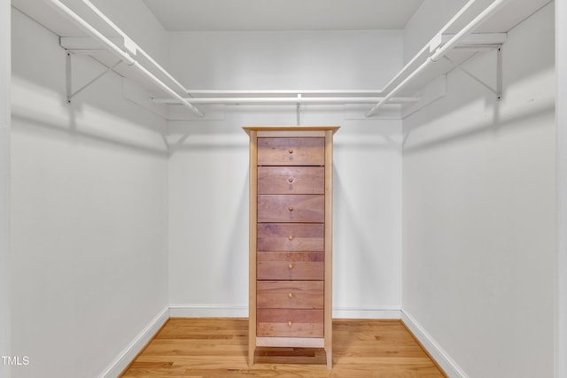 spacious closet featuring wood finished floors