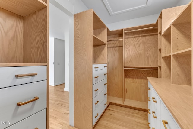 spacious closet featuring light wood-style floors