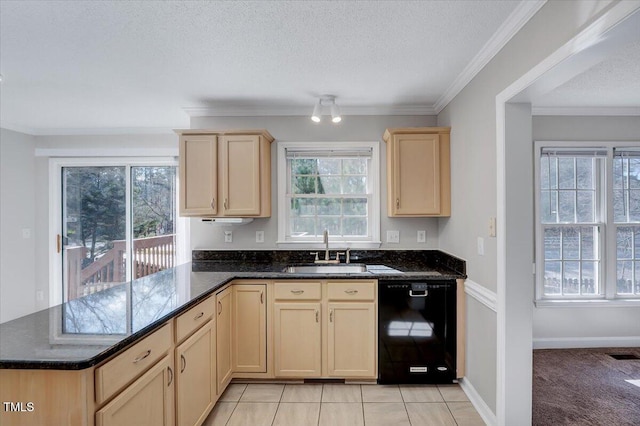 kitchen with a healthy amount of sunlight, black dishwasher, a textured ceiling, and a sink