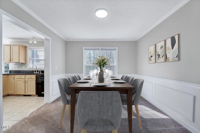 dining space featuring a textured ceiling, wainscoting, ornamental molding, and plenty of natural light