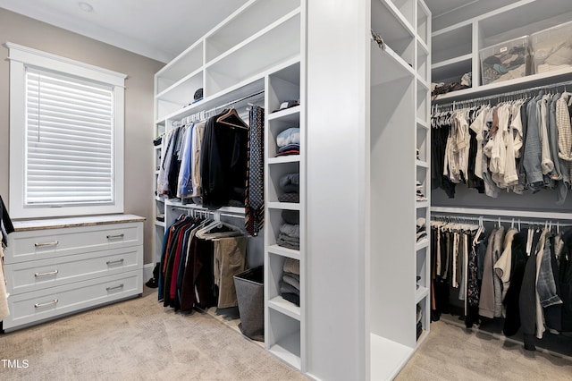 walk in closet featuring light colored carpet