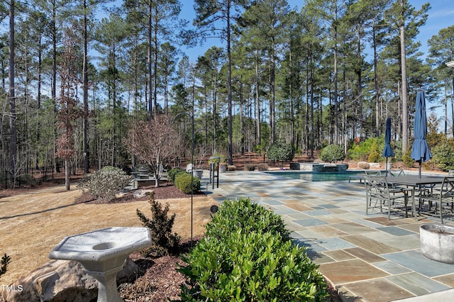 view of patio / terrace featuring an outdoor pool