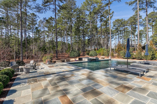 view of pool featuring a patio and a pool with connected hot tub