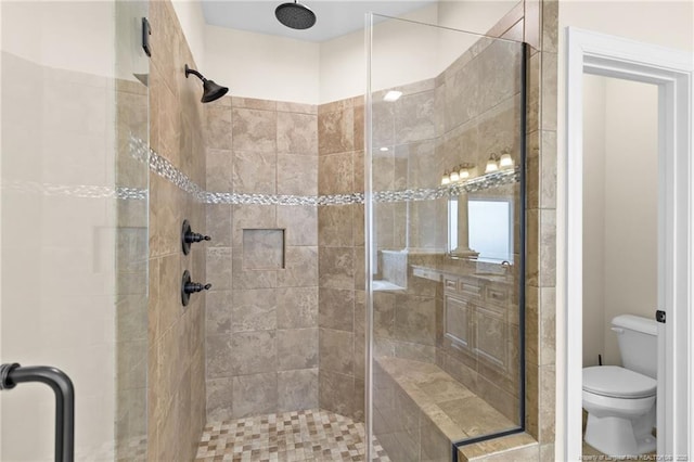 bathroom with a stall shower and toilet