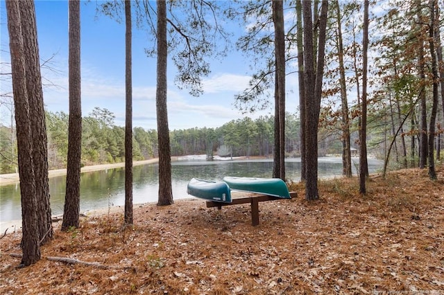 property view of water featuring a forest view