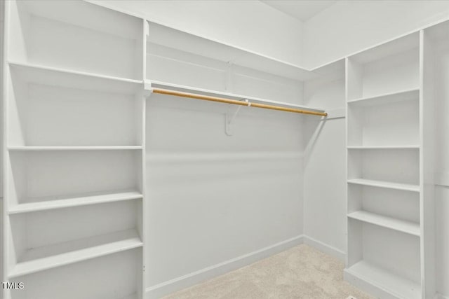 walk in closet with carpet