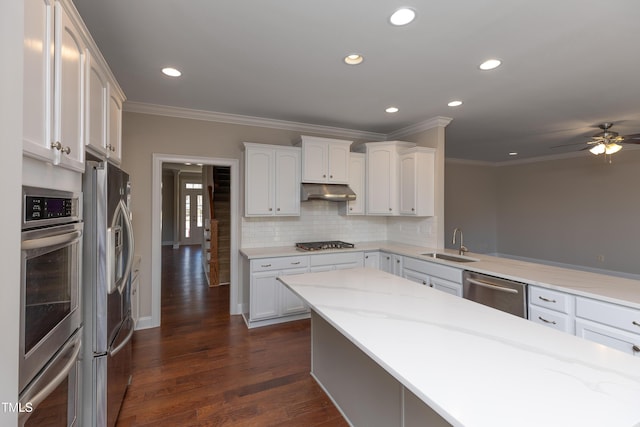 kitchen featuring dark wood-type flooring, under cabinet range hood, decorative backsplash, stainless steel appliances, and a sink