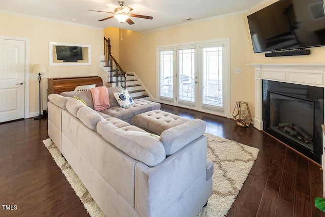 living room featuring dark wood-type flooring, a ceiling fan, a glass covered fireplace, crown molding, and stairs