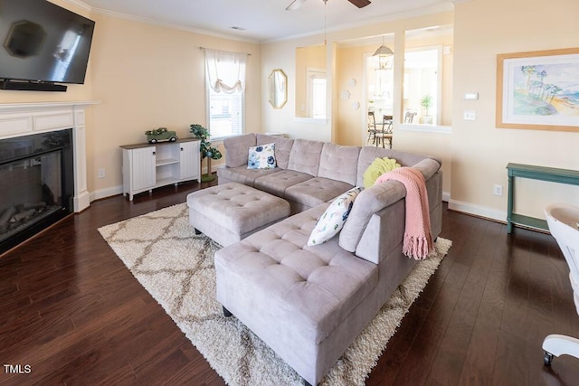 living area with baseboards, a glass covered fireplace, dark wood-style flooring, and ornamental molding