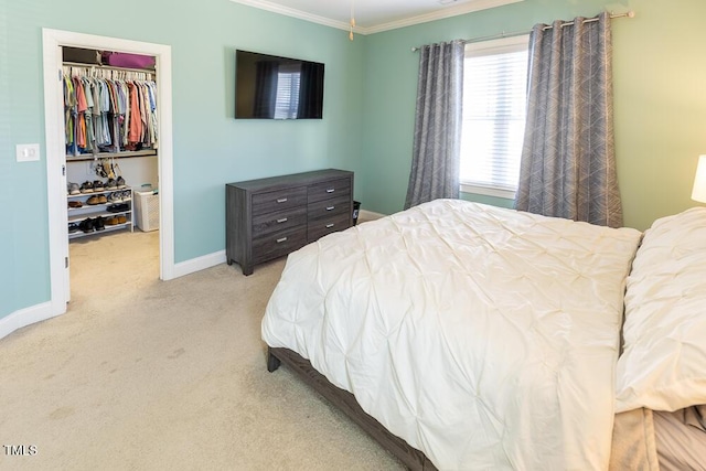 bedroom featuring a spacious closet, crown molding, baseboards, carpet, and a closet