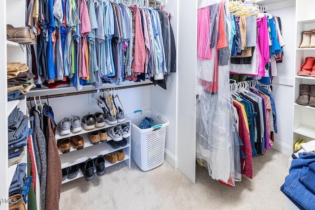 walk in closet featuring carpet floors