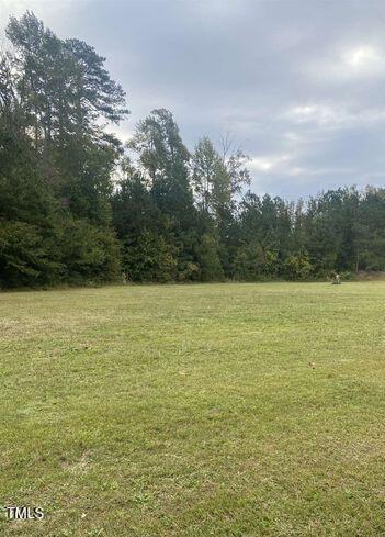 9161 Thomas Rd, Rocky Mount, NC 27803 - photo 4